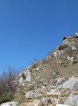 IMG_4169