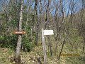 IMG_4190