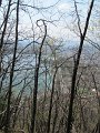 IMG_4194