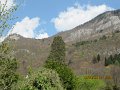 IMG_4198