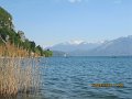 IMG_4292