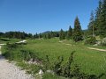 IMG_4725