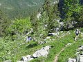 IMG_4734