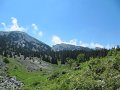 IMG_4736