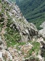 IMG_4740