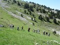 IMG_4741