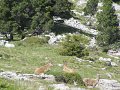 IMG_4742