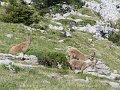 IMG_4743