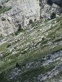 IMG_4745