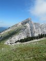 IMG_4746