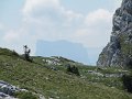 IMG_4748