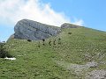 IMG_4760