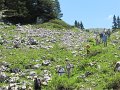 IMG_4768