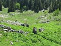 IMG_4769