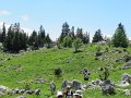 IMG_4770