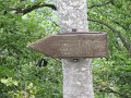 IMG_5135