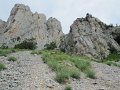 IMG_5137
