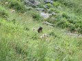 IMG_5200