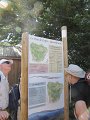IMG_5460