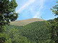 IMG_5481