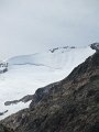 IMG_5647