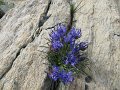 IMG_5690