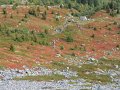 IMG_0008
