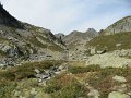 IMG_5771