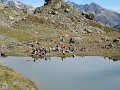 IMG_5805