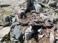 IMG_5813