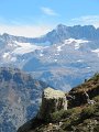IMG_5819