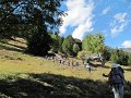 IMG_5838