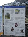 IMG_5863