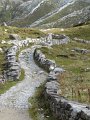 IMG_5865