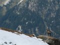 IMG_5868