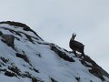 IMG_5870