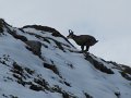 IMG_5871