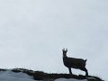 IMG_5874