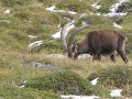 IMG_5879