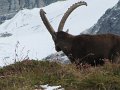 IMG_5881