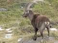 IMG_5882
