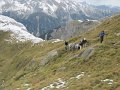 IMG_5883