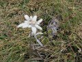 IMG_5889