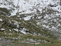 IMG_5891