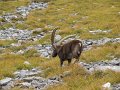 IMG_5892