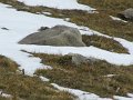 IMG_5895