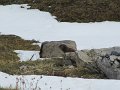 IMG_5897