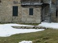 IMG_5911