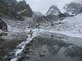 IMG_5926