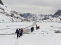 DSC00006
